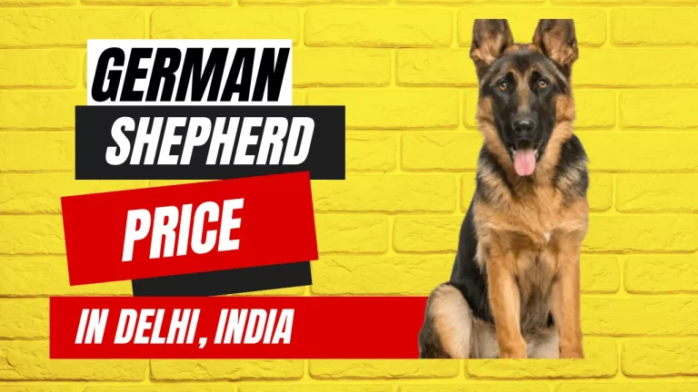 What is the German Shepherd Price in Delhi in 2023?