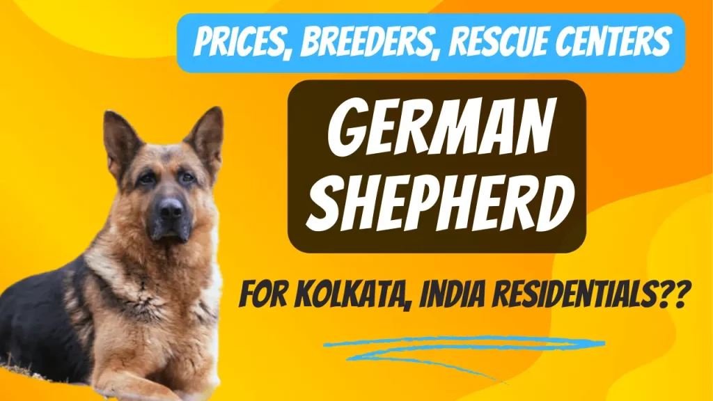 German Shepherd price in Kolkata